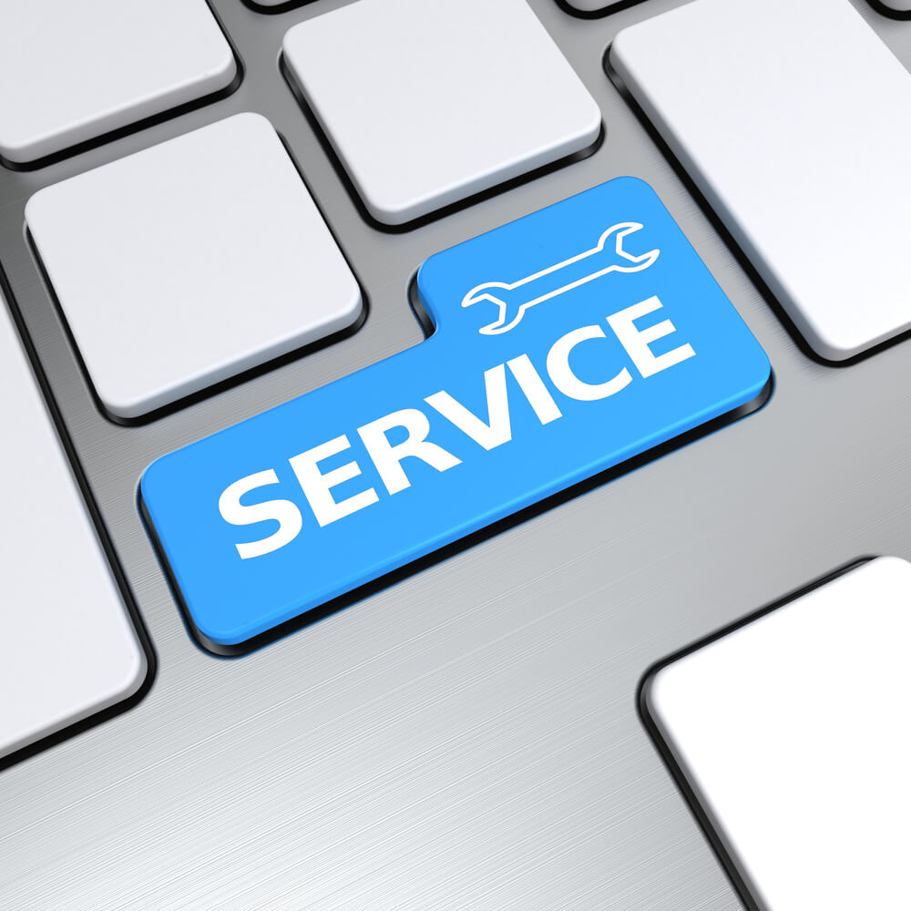 Online Reputation Management Services